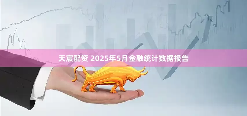 天宸配资 2025年5月金融统计数据报告