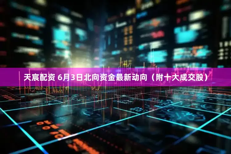 天宸配资 6月3日北向资金最新动向（附十大成交股）