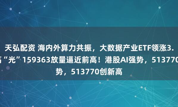 天弘配资 海内外算力共振，大数据产业ETF领涨3.6%，高“光”159363放量逼近前高！港股AI强势，513770创新高